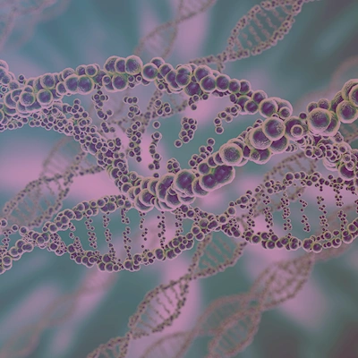 In the last 5-10 years, whole genome sequencing (WGS) of microorganisms has been of high importance in Danish infection surveillance and preparedness.